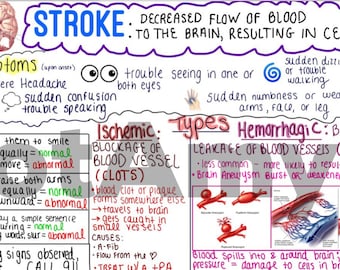 Stroke One-Page Outline / Concept Map
