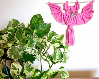 True Pink Bat Air Plant Holder Macrame