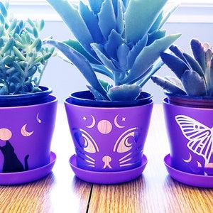 Mini Holographic Moon Phase Planters w/ Drip Tray