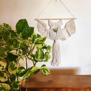 White Bat Airplant Holder Macrame