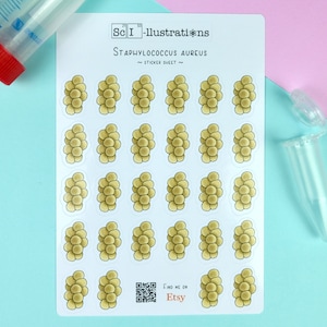 Stickervel Staphylococcus aureus | biologie bacteriën micro-organismen zelf gemaakt met de hand getrokken