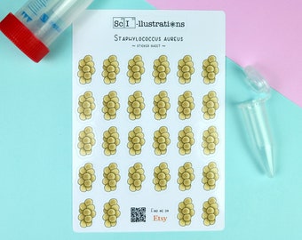 Sticker sheet Staphylococcus aureus | biology bacteria microorganisms self made hand drawn