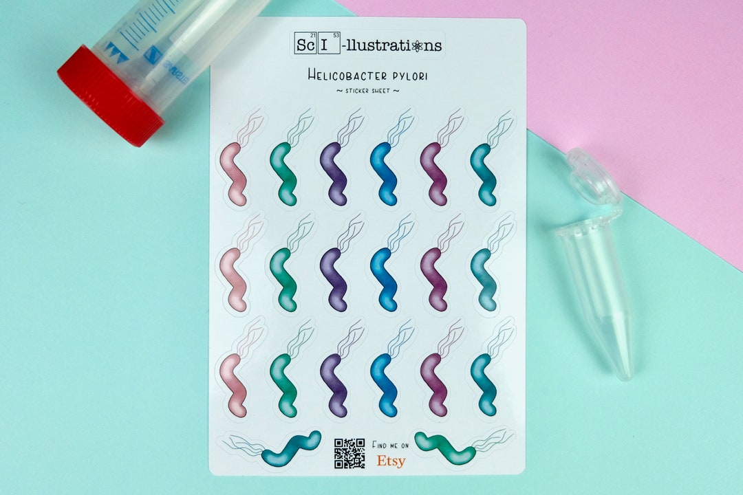 Sticker Sheet Helicobacter Pylori | Biology Bacteria Microorganisms ...