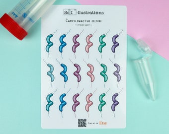 Sticker sheet Campylobacter jejuni | biology bacteria microorganisms self made hand drawn
