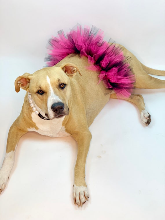 Pitbull barbie girl sale