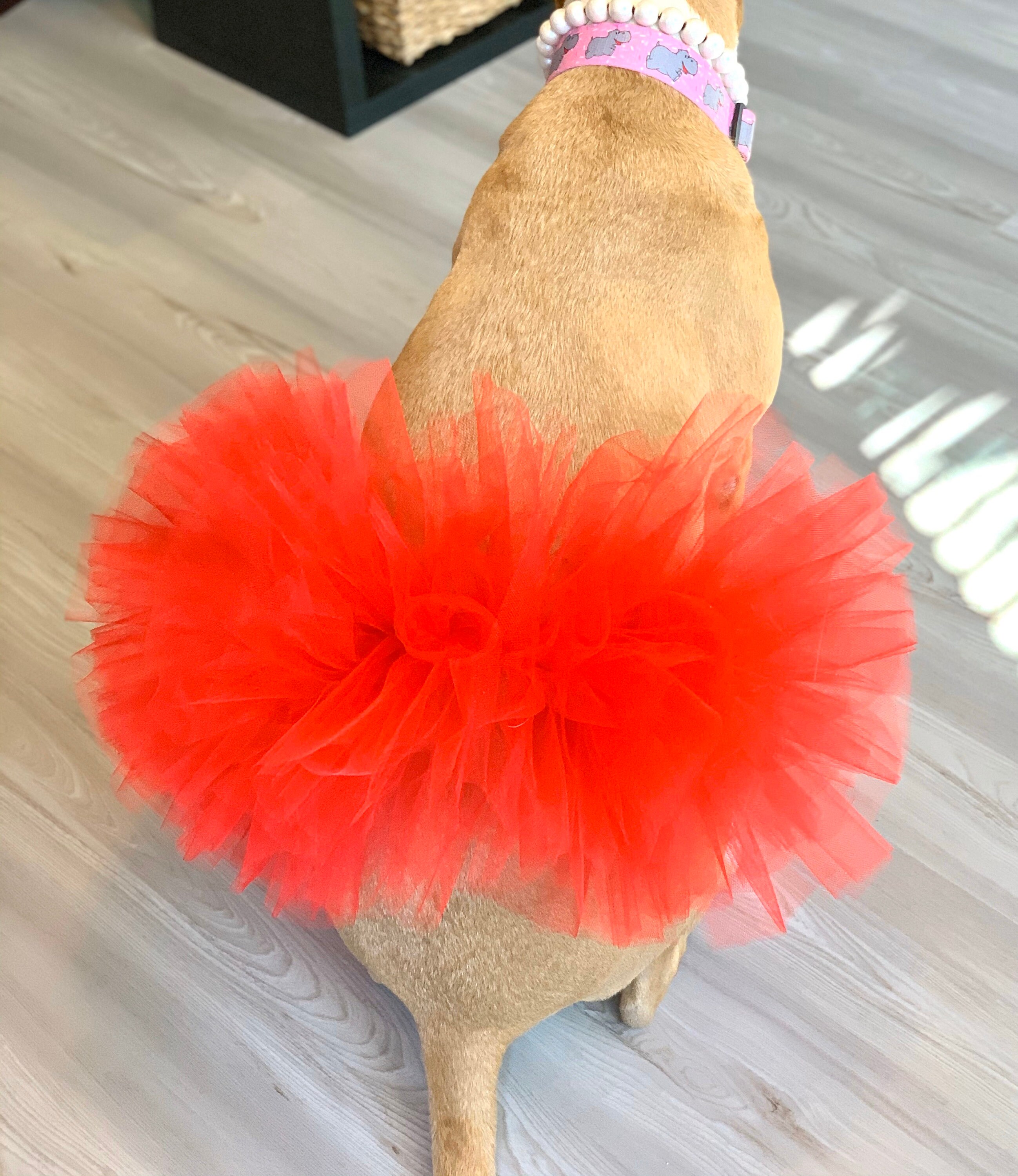 Bright Red Christmas Dog Tutu: Cute, Fluffy Princess Dog Skirt
