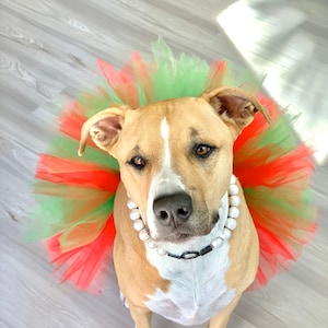 Christmas Red and Green Dog Tutu: Cute, Fluffy Princess Dog Skirt - Dog Halloween Costume - Fur Baby Pet Birthday - Dog Clothes - Pet Gift