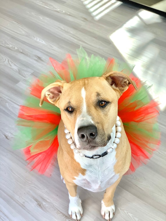 Christmas Red and Green Dog Tutu Cute Fluffy Princess Dog Skirt Dog Halloween Costume Fur Baby Pet Birthday Dog Clothes Pet Gift Etsy Canada