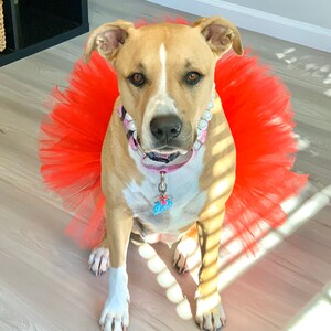 Fur Baby Pet Birthday Mermaid Purple Dog Tutu: Cute Dog Clothes Fluffy Princess Dog Skirt Pet Gift Dog Halloween Costume