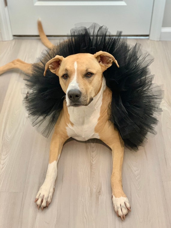 skye paw patrol remote control