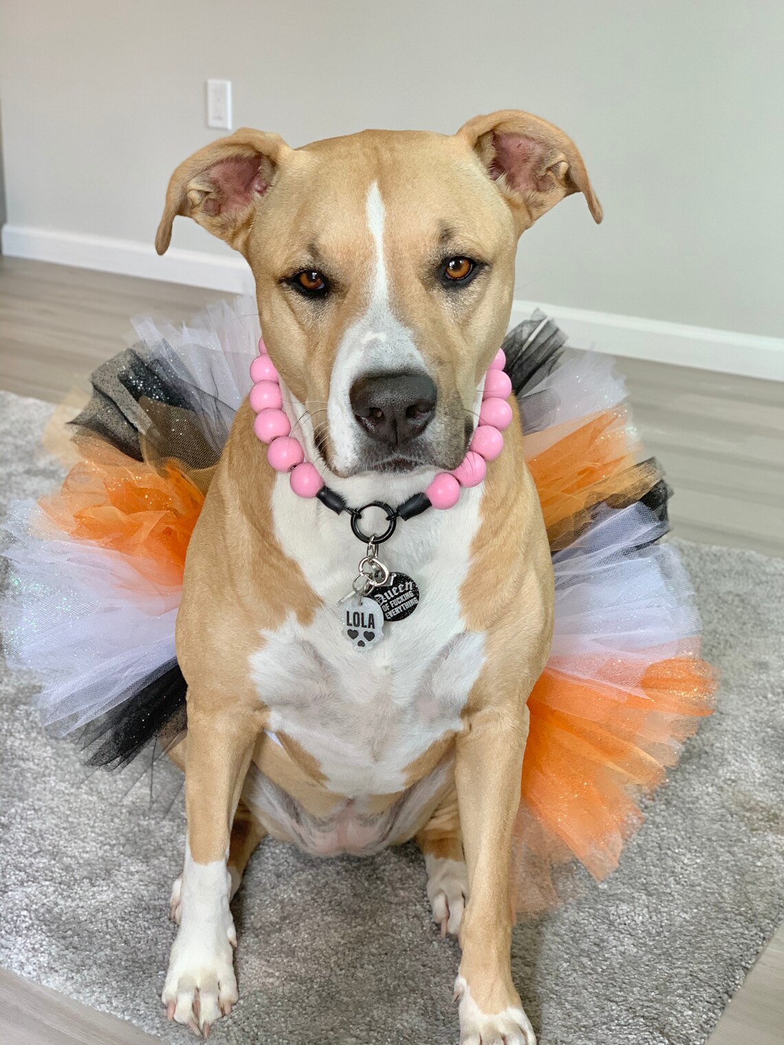Hocus Pocus Dog Tutu Cute & Spooky Witch Dog Costume Dog Etsy