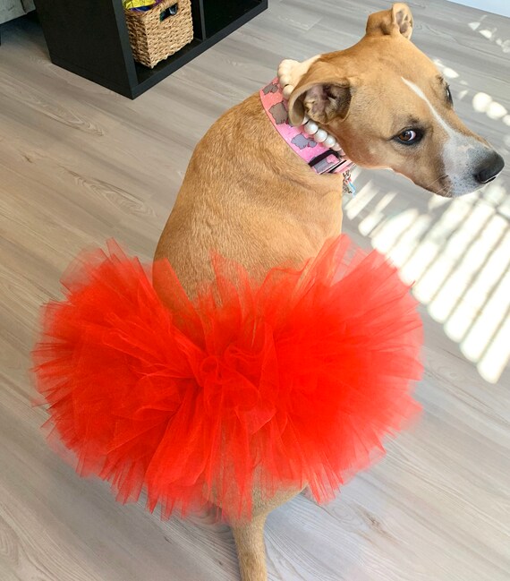 Bright Red Christmas Dog Tutu: Cute, Fluffy Princess Dog Skirt