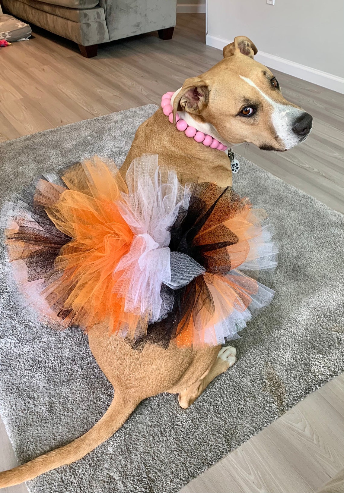 Hocus Pocus Dog Tutu Cute & Spooky Witch Dog Costume Dog Etsy