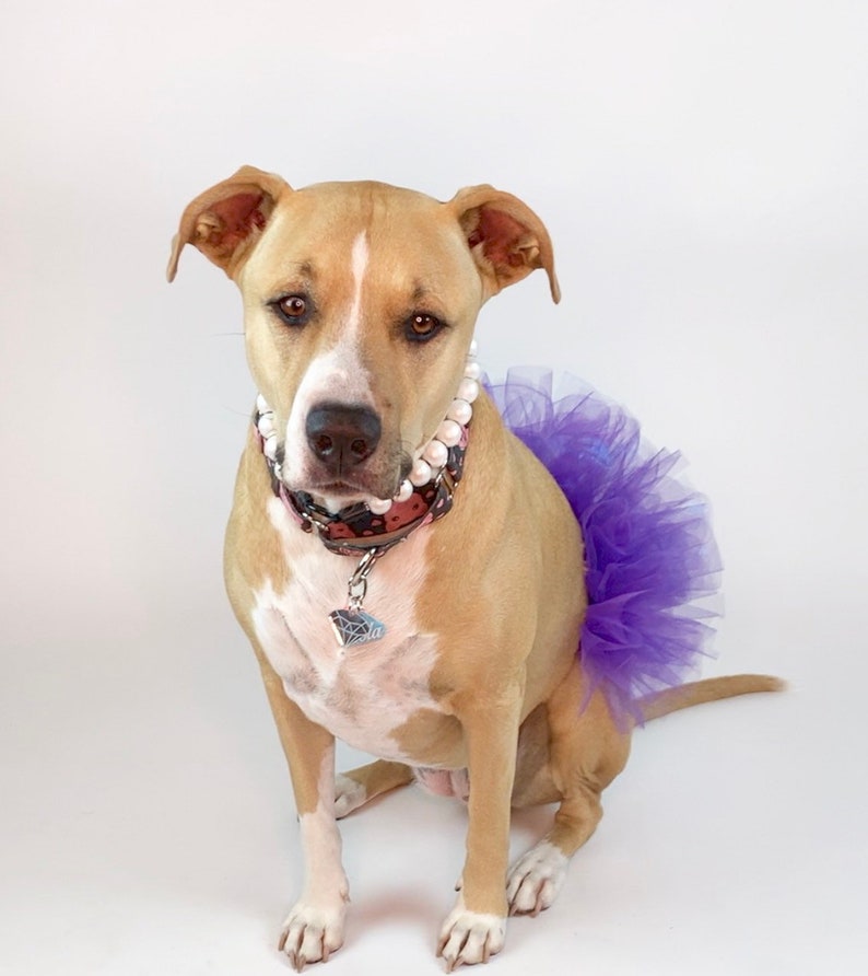 Fur Baby Pet Birthday Mermaid Purple Dog Tutu: Cute Dog Clothes Fluffy Princess Dog Skirt Pet Gift Dog Halloween Costume