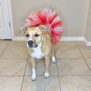 Christmas Red and White Dog Tutu: Cute, Fluffy Princess Dog Cat Skirt - Dog Holiday Costume - Fur Baby Pet Birthday - Dog Clothes - Pet Gift