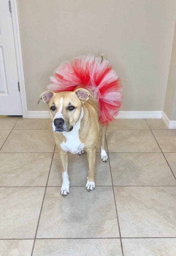 Christmas Red and White Dog Tutu: Cute, Fluffy Princess Dog Cat Skirt - Dog Holiday Costume - Fur Baby Pet Birthday - Dog Clothes - Pet Gift