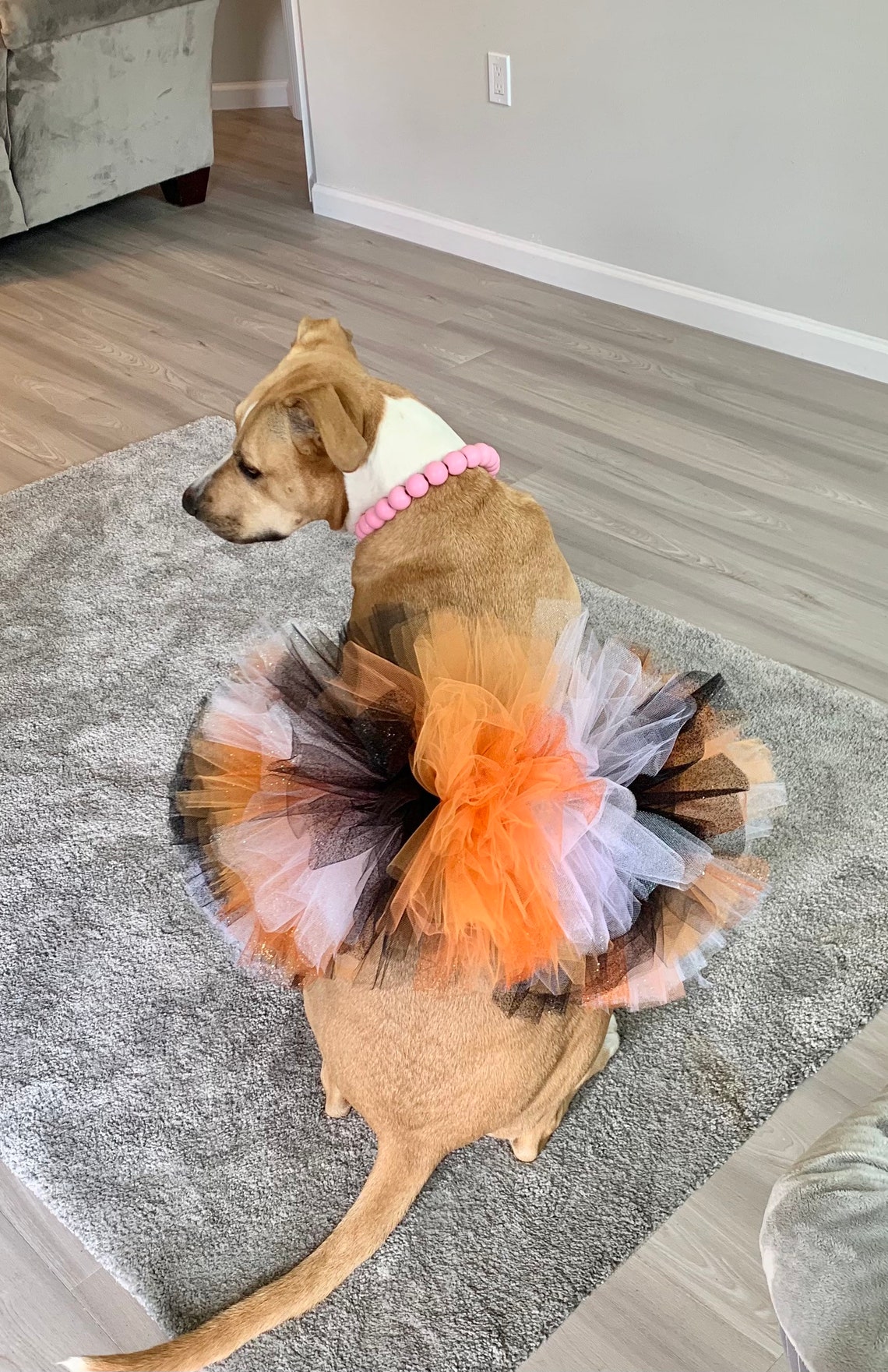 Hocus Pocus Dog Tutu Cute & Spooky Witch Dog Costume Dog Etsy