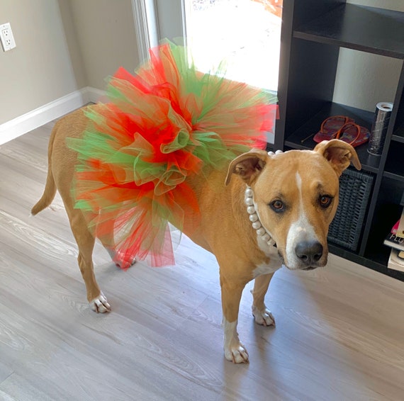 Christmas Dog Tutu Skirt | Red And Green Dog Tutu Size XS