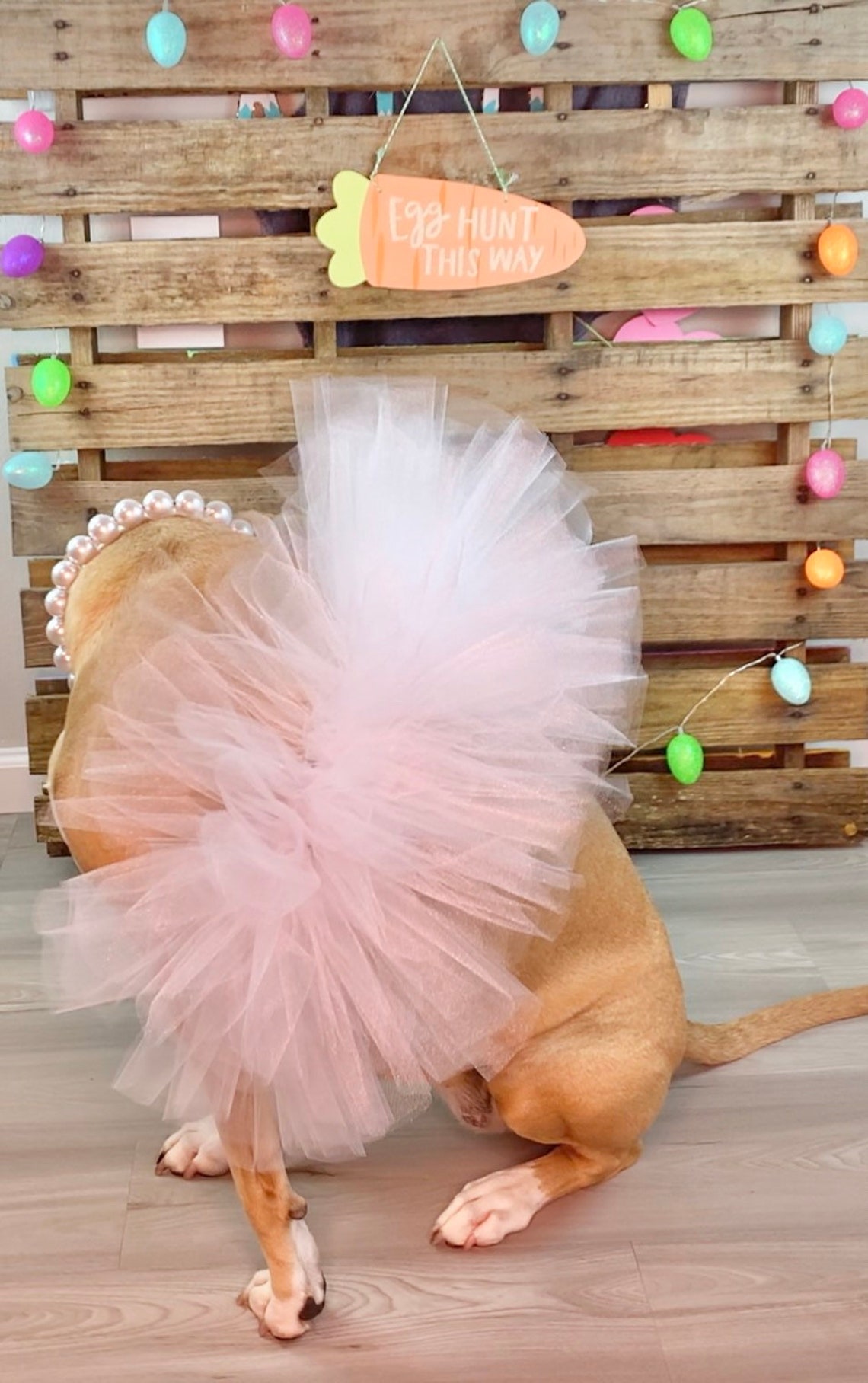 Sparkle White Dog Tutu Cute Fluffy Bright Princess Dog Etsy