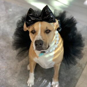 Fur Baby Pet Birthday Mermaid Purple Dog Tutu: Cute Dog Clothes Fluffy Princess Dog Skirt Pet Gift Dog Halloween Costume