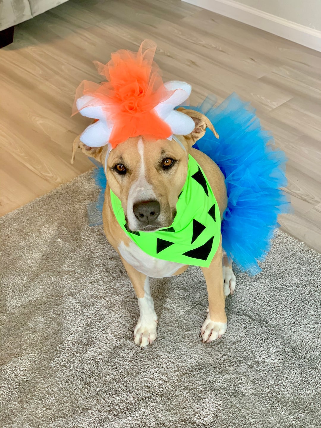 Pebbles Flintstone Dog Costume: Cute, Fluffy Tutu-bandana