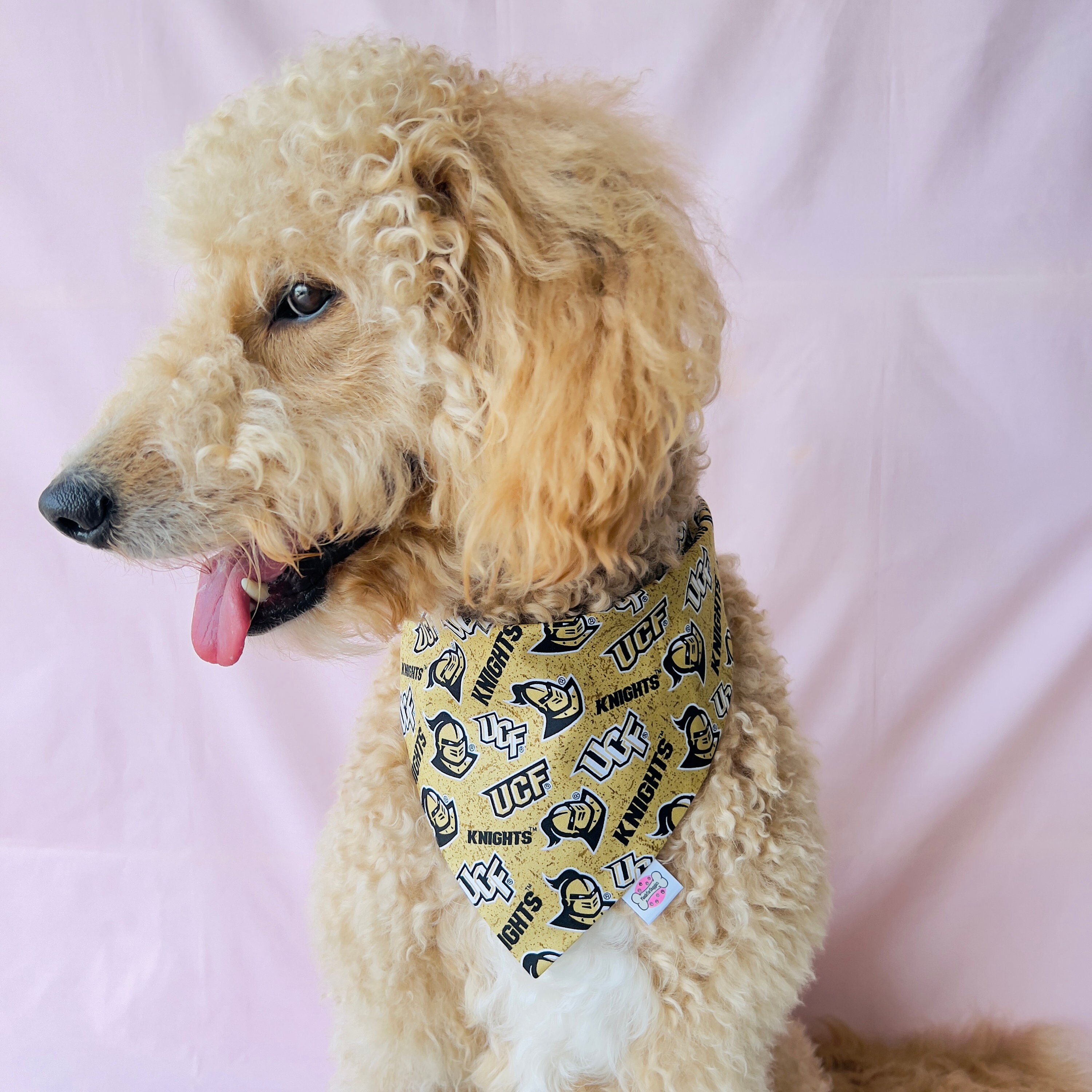 NCAA Central Florida Golden Knights Cotton Lycra Hooded Dog Shirt