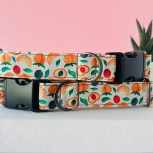 Peach Dog Collar, Peaches Custom Dog Collar, Peach Print Dog Collar, Adjustable Dog Collar, Funny Dog Collar, Handmade Pet Collar, Dog Gift