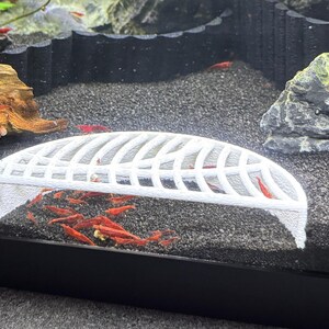 May include: White plastic shrimp breeding box with a grid pattern. The box is placed in a fish tank with black gravel and red shrimp swimming inside.