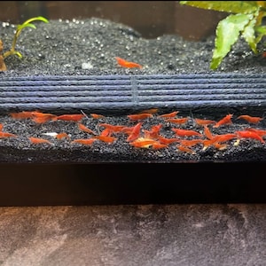 Shrimp Hide Shrimp Cave Shrimp Tunnel Free Shipping 2 Colors, Sizes and Shapes Shrimp Breeding Cave.