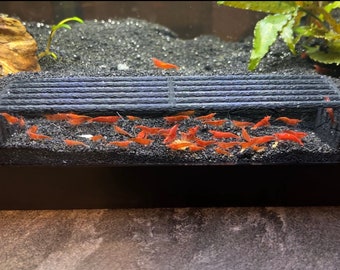 Shrimp Hide Shrimp Cave Shrimp Tunnel Free Shipping 2 Colors