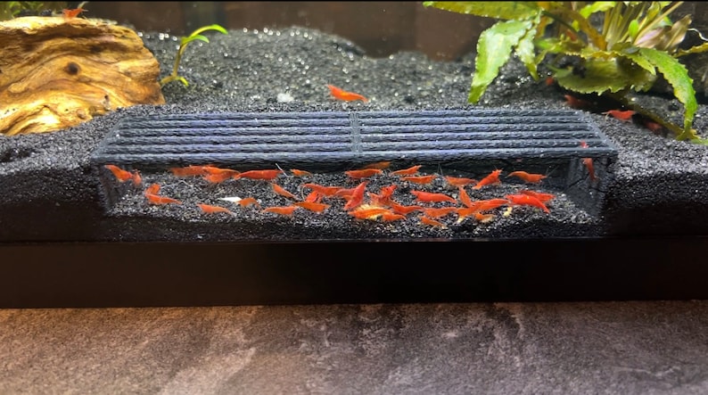 K&ouml;nnte beinhalten: Nahaufnahme eines Aquariums mit zahlreichen kleinen, leuchtend orangefarbenen Garnelen. Sie versammeln sich um eine dunkle, strukturierte Konstruktion, vor einem schwarzen Substrat und etwas Gr&uuml;n. Die Garnelen sind der Fokus.