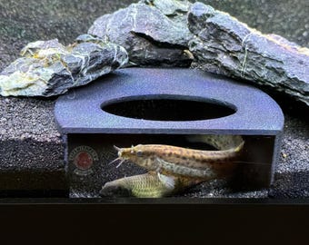 3D Printed Aquarium Cave: Fish Tank Tunnel Hideout