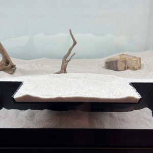 Extra Large Aquarium Tunnel Angled sides  Free Shipping