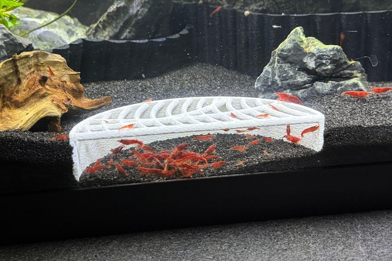 K&ouml;nnte beinhalten: Aquarienszene mit einer wei&szlig;en Garnelenzuchtbox, gef&uuml;llt mit zahlreichen kleinen, leuchtend roten Garnelen. Das Becken hat ein dunkles Substrat, dekorative Steine und ein St&uuml;ck Treibholz. Das Wasser ist klar und die Garnelen sind aktiv.