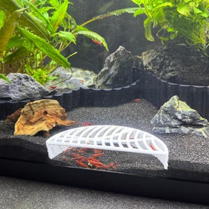 May include: White plastic fish tank feeder with a grid design. The feeder is placed in a fish tank with black gravel and rocks. There are several red shrimp swimming in the tank.