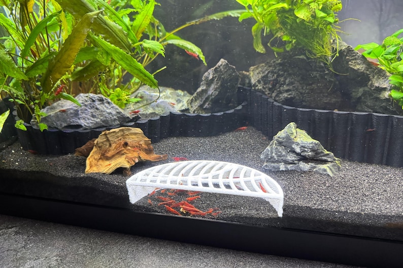 May include: White plastic fish tank feeder with a grid design. The feeder is placed in a fish tank with black gravel and rocks. There are several red shrimp swimming in the tank.