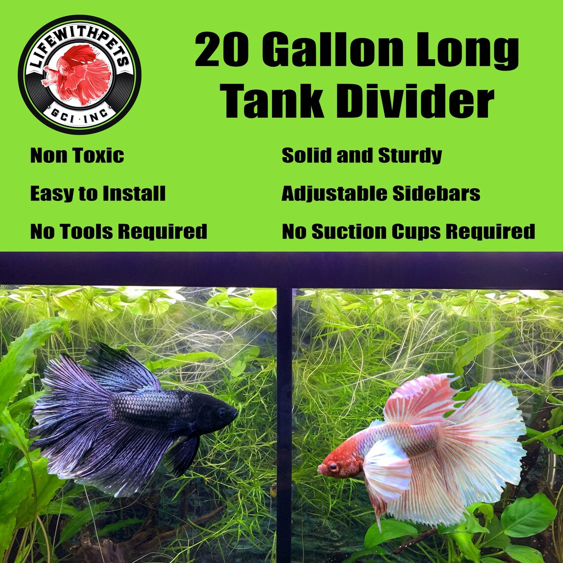 Lifewithpets 20 Gallon Long Tank Divider. Perfect for Betta Etsy Canada
