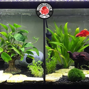 Peut inclure: Un aquarium encadr&eacute; noir avec un poisson combattant rouge nageant dans l'eau. L'aquarium est d&eacute;cor&eacute; de plantes, de rochers et d'une petite figurine d'&eacute;l&eacute;phant. L'aquarium porte un logo noir et rouge qui dit "Life With Pets BCI Inc."