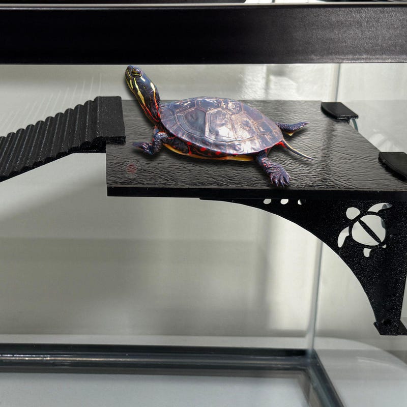 Basking Ramps - Etsy