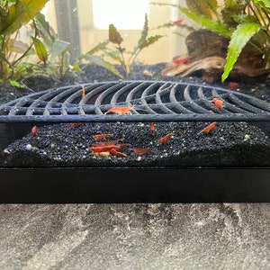 K&ouml;nnte beinhalten: Aquarienszene mit einem schwarzen, gew&ouml;lbten Gitter &uuml;ber schwarzem Kies. Zahlreiche kleine, leuchtend orangefarbene Garnelen sind im Kies verstreut. Gr&uuml;ne Wasserpflanzen und ein St&uuml;ck Treibholz sind im Hintergrund zu sehen.