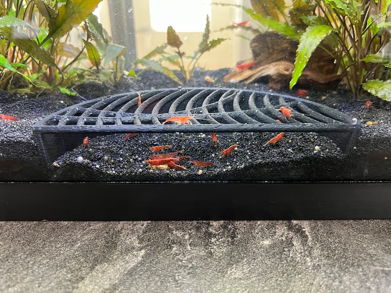K&ouml;nnte beinhalten: Aquarienszene mit einem schwarzen, gew&ouml;lbten Gitter &uuml;ber schwarzem Kies. Zahlreiche kleine, leuchtend orangefarbene Garnelen sind im Kies verstreut. Gr&uuml;ne Wasserpflanzen und ein St&uuml;ck Treibholz sind im Hintergrund zu sehen.