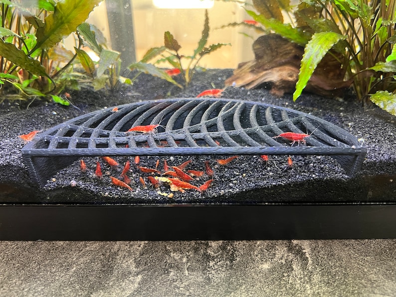 May include: A black metal grate sits on a bed of black gravel. Several small red shrimp are visible under and around the grate.