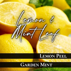 Lemon & Mint Leaf Wax Melt | Spring Inspired | Lemon Peel and Mint Leaf |