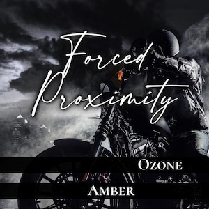 Forced Proximity Wax Melt | Bookish Wax Melts | Ozone and Amber | image 1