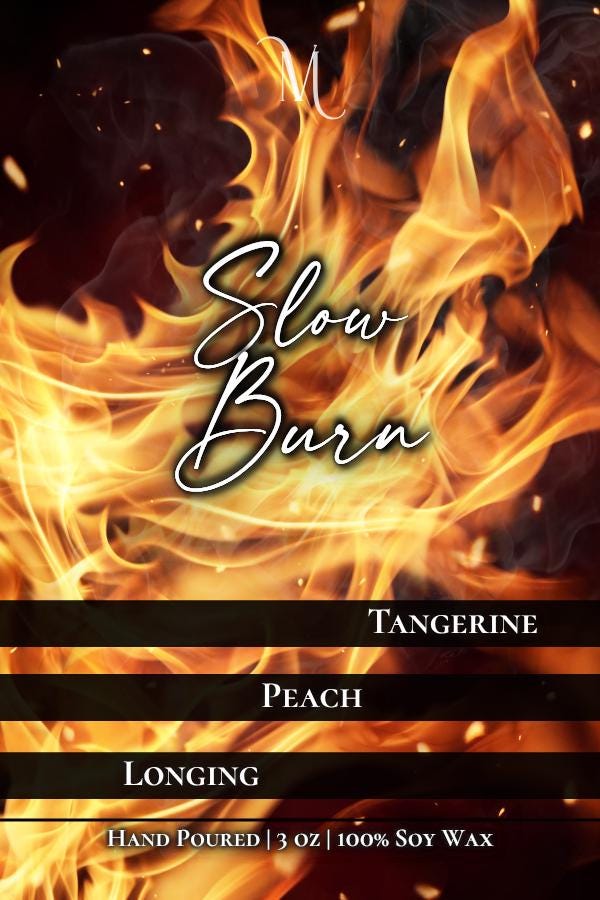 Slow Burn Wax Melt | Literary Inspired | Bookish Wax Melts | Book Trope