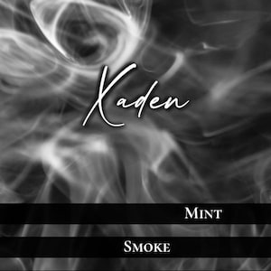 Xaden Riorson Wax Melt | The Empyrean Inspired | Bookish Wax Melts | Fourth Wing |