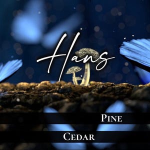 Hans Wax Melt | Alliance Inspired | Pine and Cedar | Officially Licensed