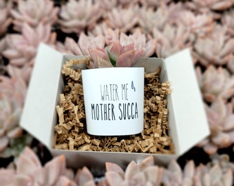 Water Me Mother Succa - Live Succulents Gifts For Plant Lovers Succulent Planters Wedding Baby Shower Birthday Party Favor Gift