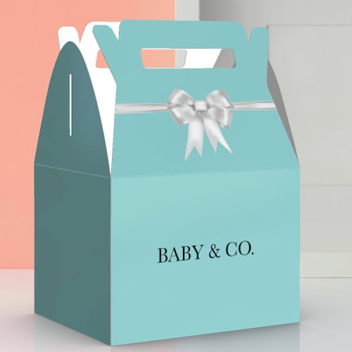Baby & Co. Baby Shower Favor Boxes Etsy