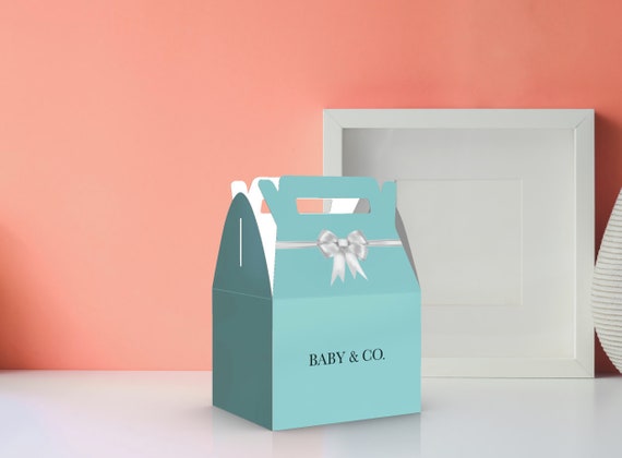 Baby & Co. Baby Shower favor boxes